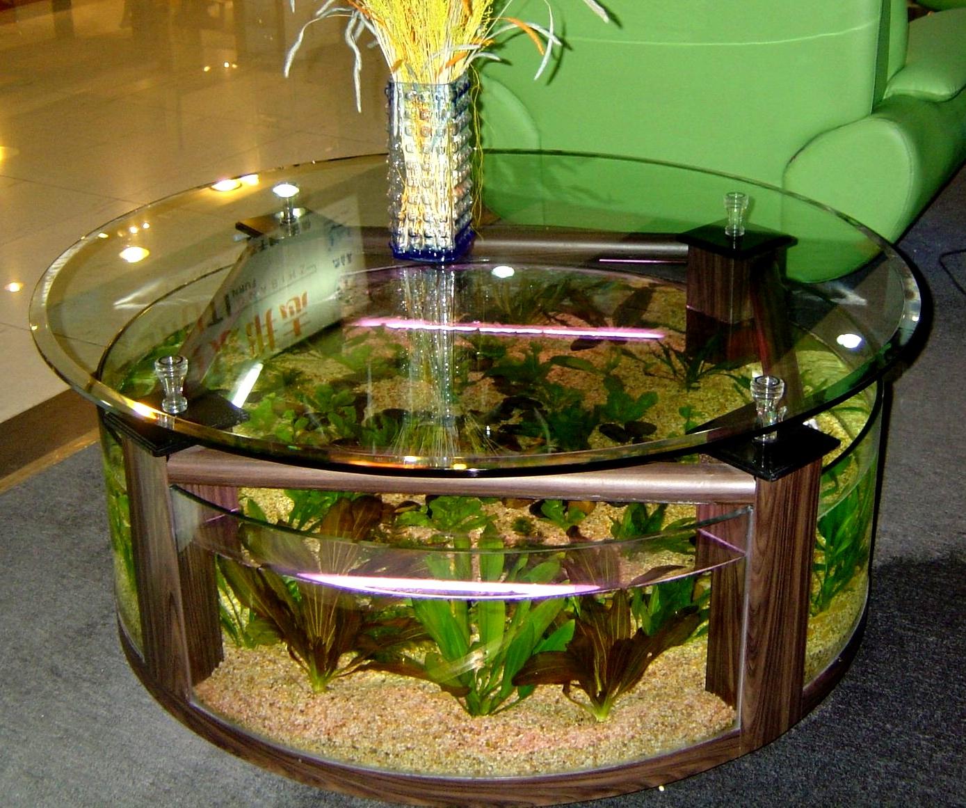 Дизайн аквариума