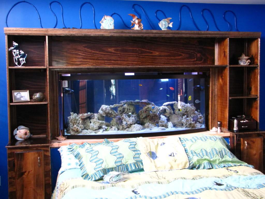 Fish Tank Headboard