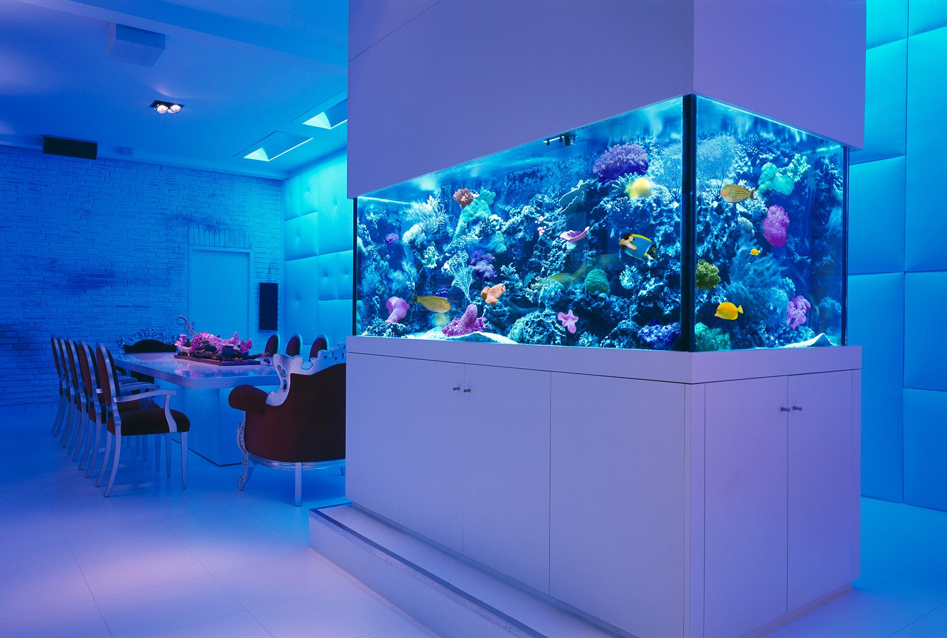 Идеи на тему «#Аквариум идеи» (+) в г | дизайн аквариума, аквариум, дизайн