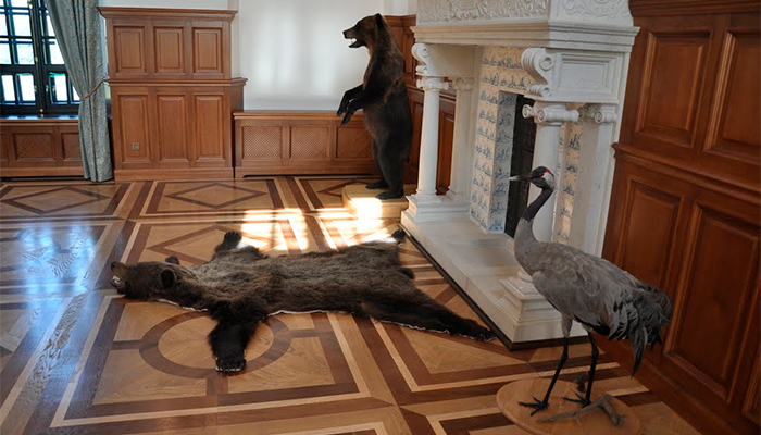 Декорирование замкого интерьера