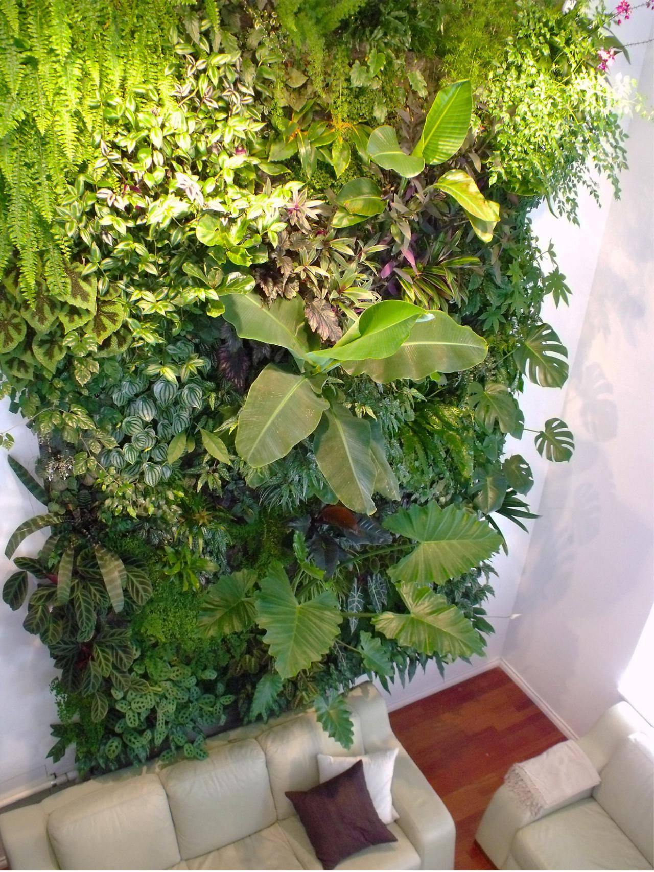 Живые растения в интерьере: как применять зелень в дизайне жилья